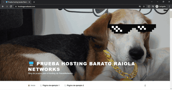 WordPress de prueba en Raiola Networks